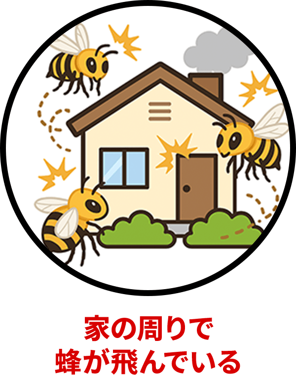 家の周りで蜂が飛んでいる