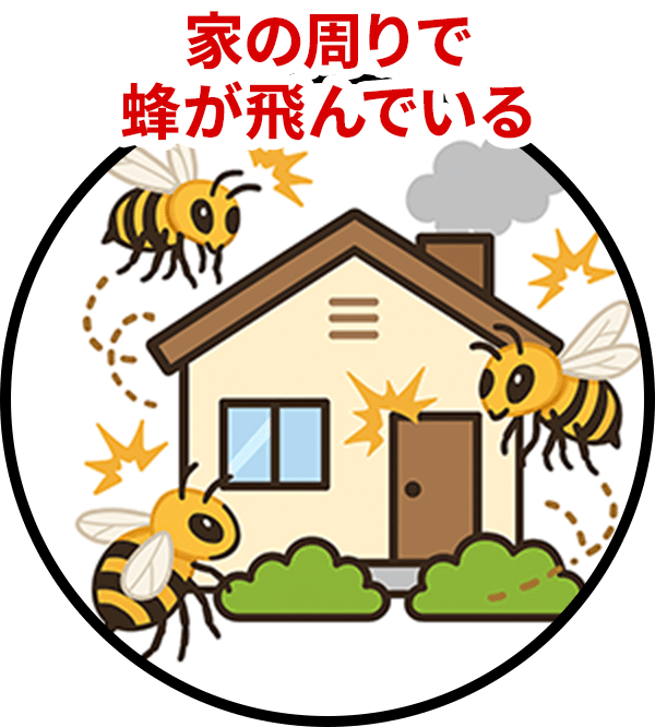 家の周りで蜂が飛んでいる