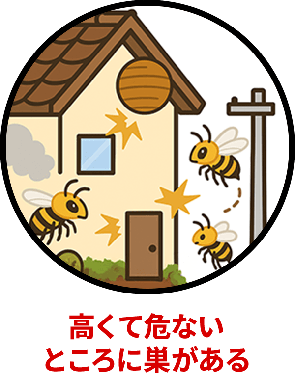 高くて危ないところに巣がある