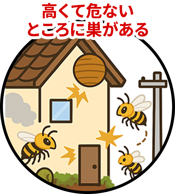 家の周り高くて危ないところに巣があるで蜂が飛んでいる