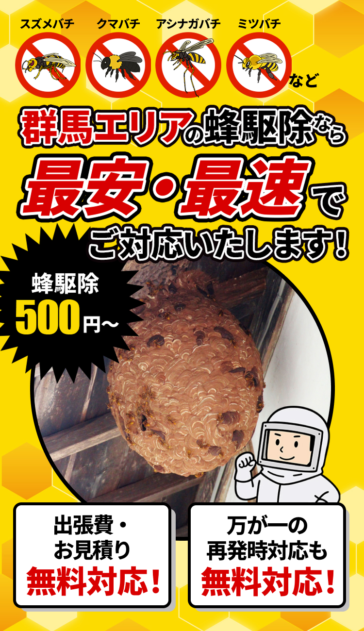 となりのハチ駆除屋